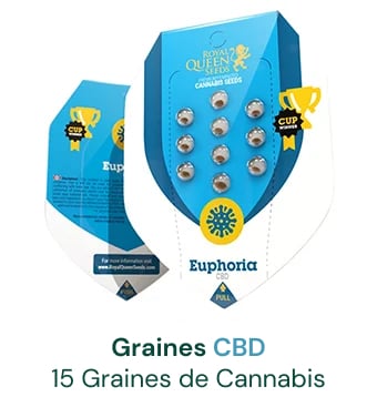 graines-cannabis-cbd