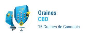 graines-cannabis-cbd