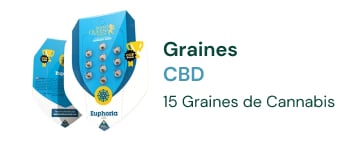 graines-cannabis-cbd