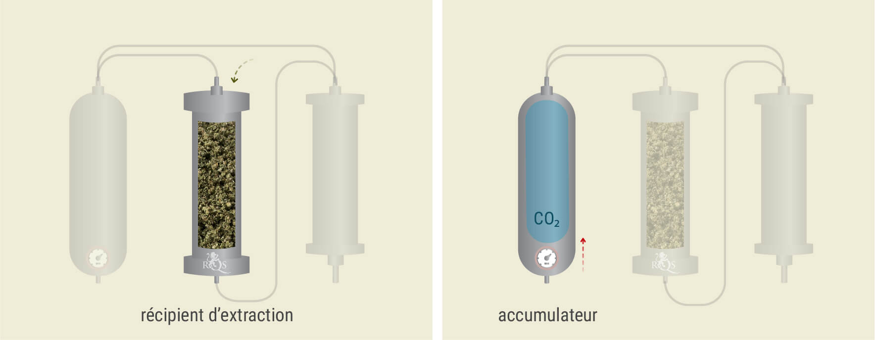 Extraction Par CO₂ : Processus Étape Par Étape Extraction Par CO₂ : Processus Étape Par Étape