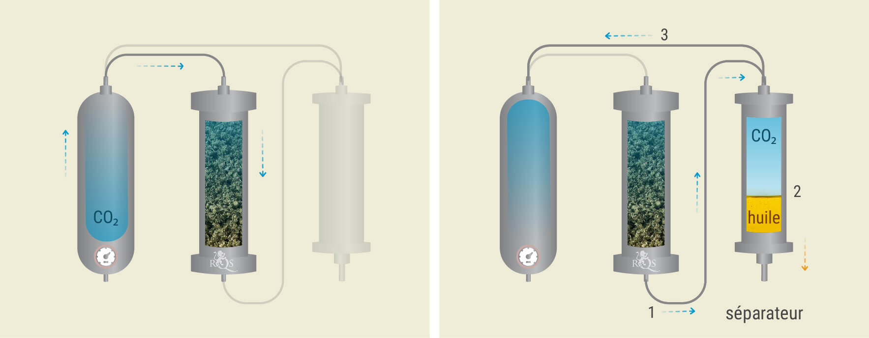 Extraction Par CO₂ : Processus Étape Par Étape Extraction Par CO₂ : Processus Étape Par Étape