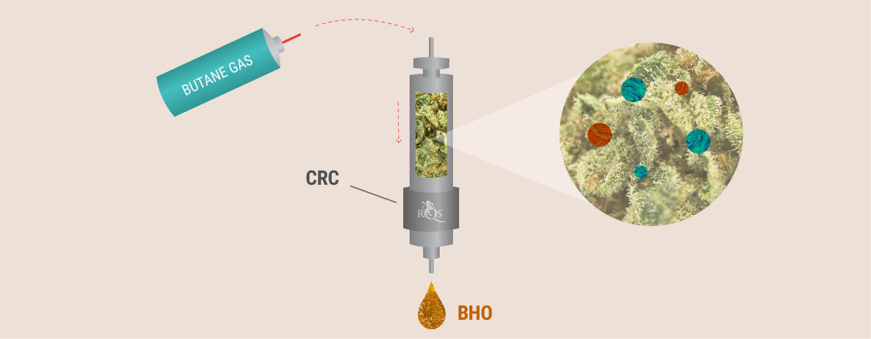Le Processus CRC Le Processus CRC