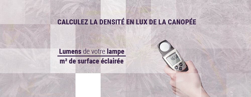 Calculez-la-densité-en-lux-de-la-canopée