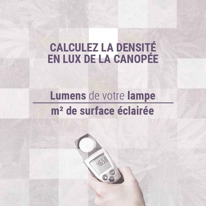 Calculez-la-densité-en-lux-de-la-canopée