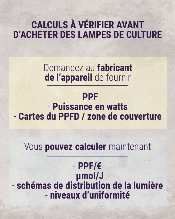 Tirez le Meilleur de Vos LEDs : 5 Conseil pour la Culture du