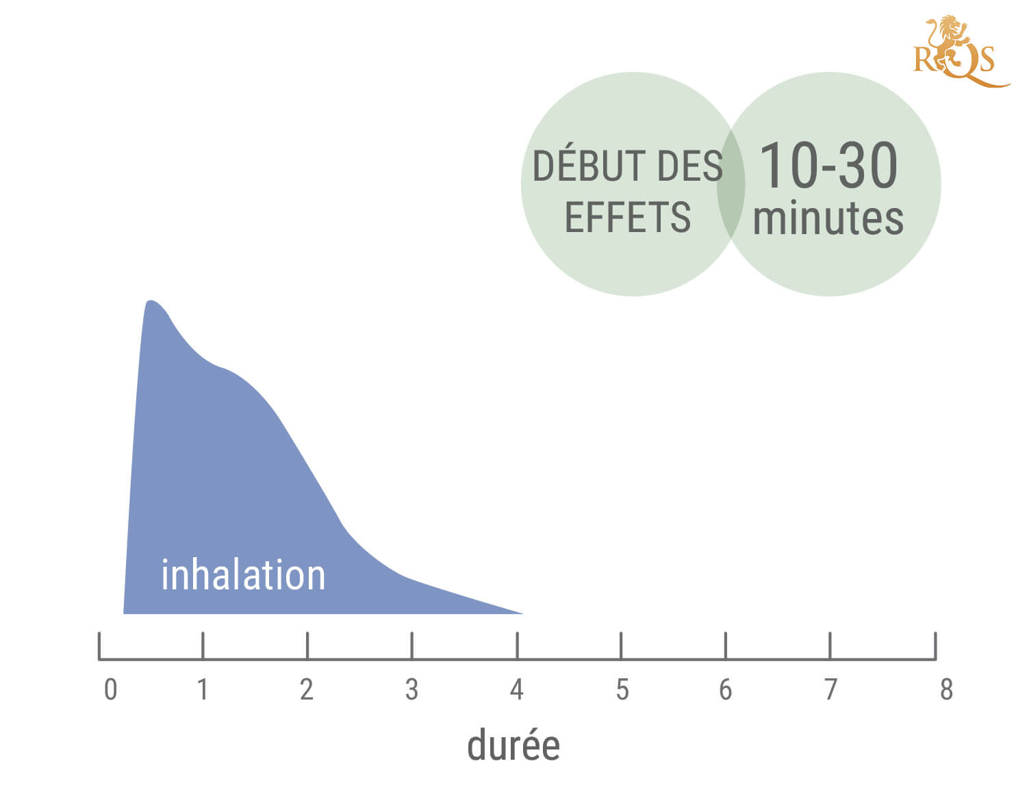 Combien De Temps Durent Les Effets Du Cannabis ?