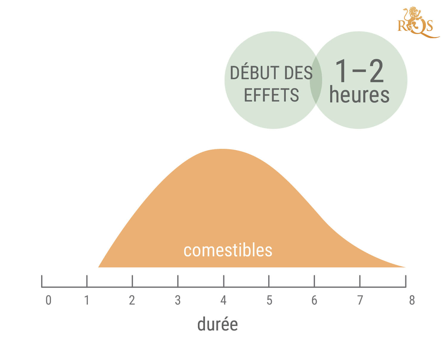 Combien De Temps Durent Les Effets Du Cannabis ?