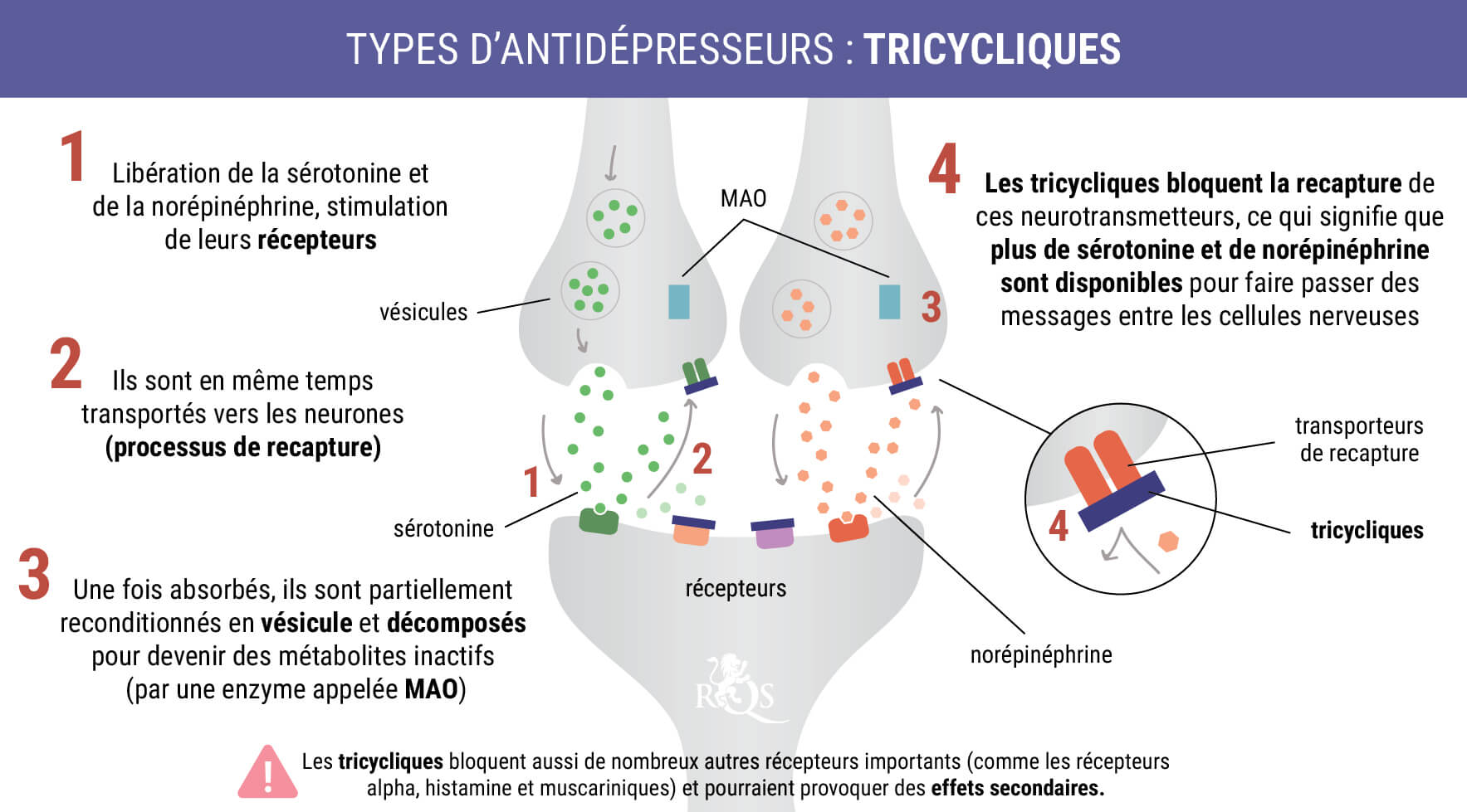 Tricycliques Tricycliques