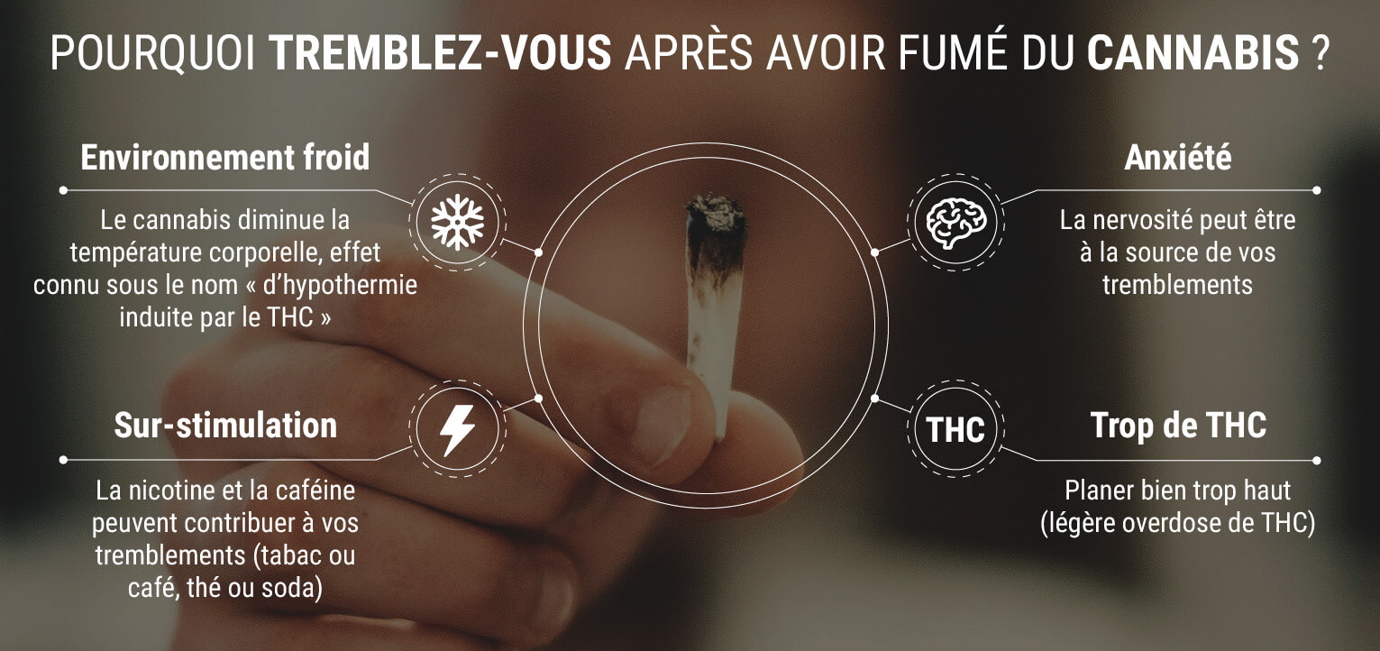 Pourquoi tremble-t-on après avoir fumé du cannabis ? Pourquoi tremble-t-on après avoir fumé du cannabis ?