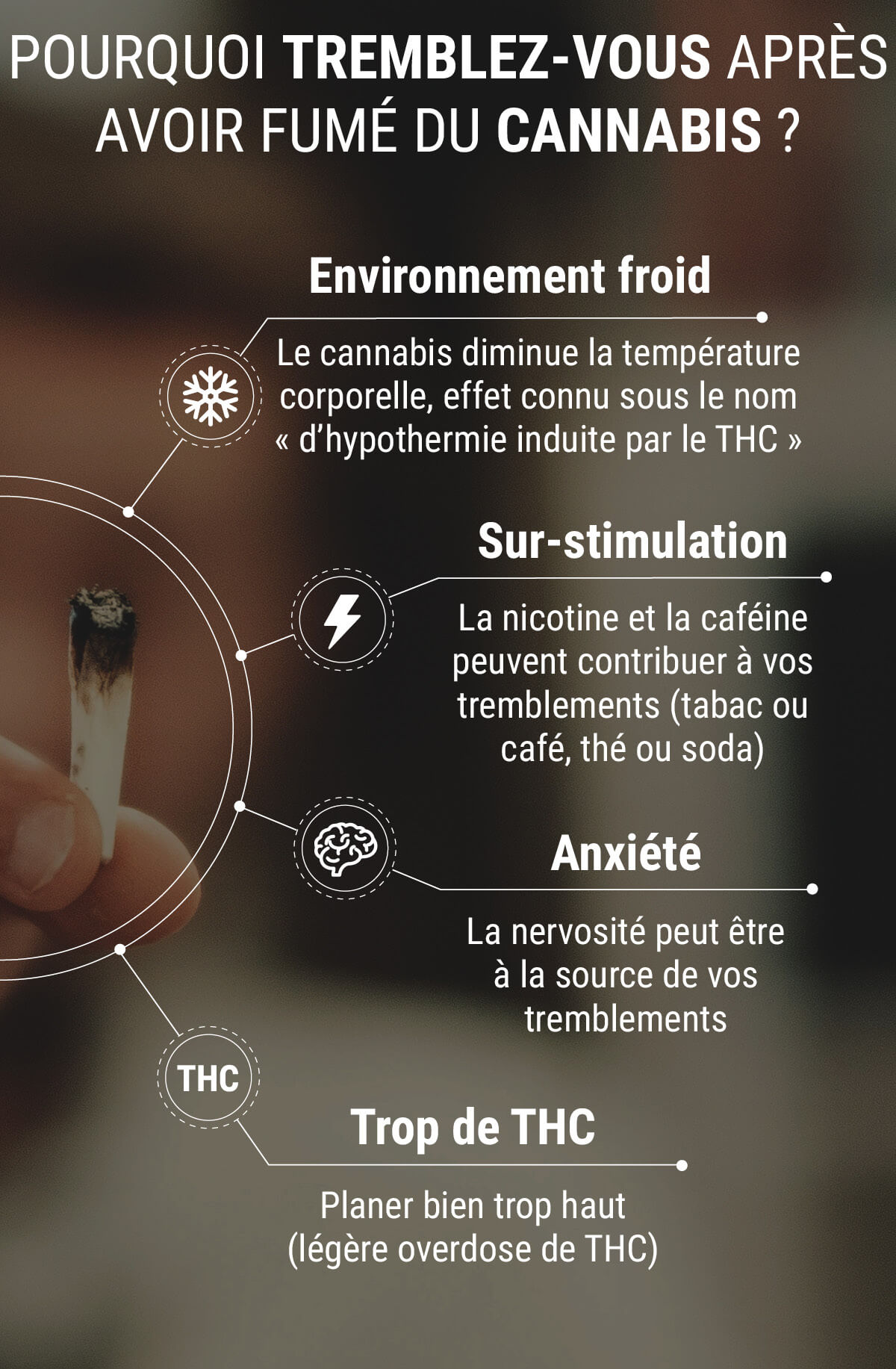 Pourquoi tremble-t-on après avoir fumé du cannabis ? Pourquoi tremble-t-on après avoir fumé du cannabis ?