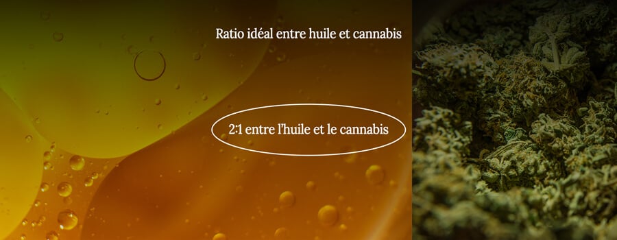 Cannabis oil ratio