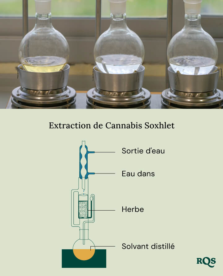 Cannabis soxhlet extraction