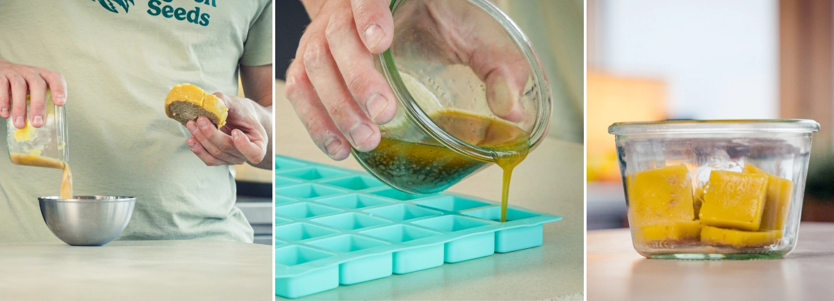 Cannabutter versé dans des moules en silicone pour le portionner, avec des cubes de beurre finis conservés dans un récipient en verre après séparation du beurre et de l’eau
