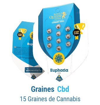 graines-cannabis-cbd