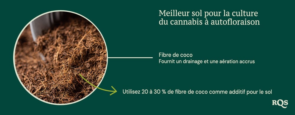 Coco coir for growing autoflowers