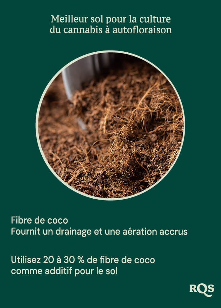 Coco coir for growing autoflowers