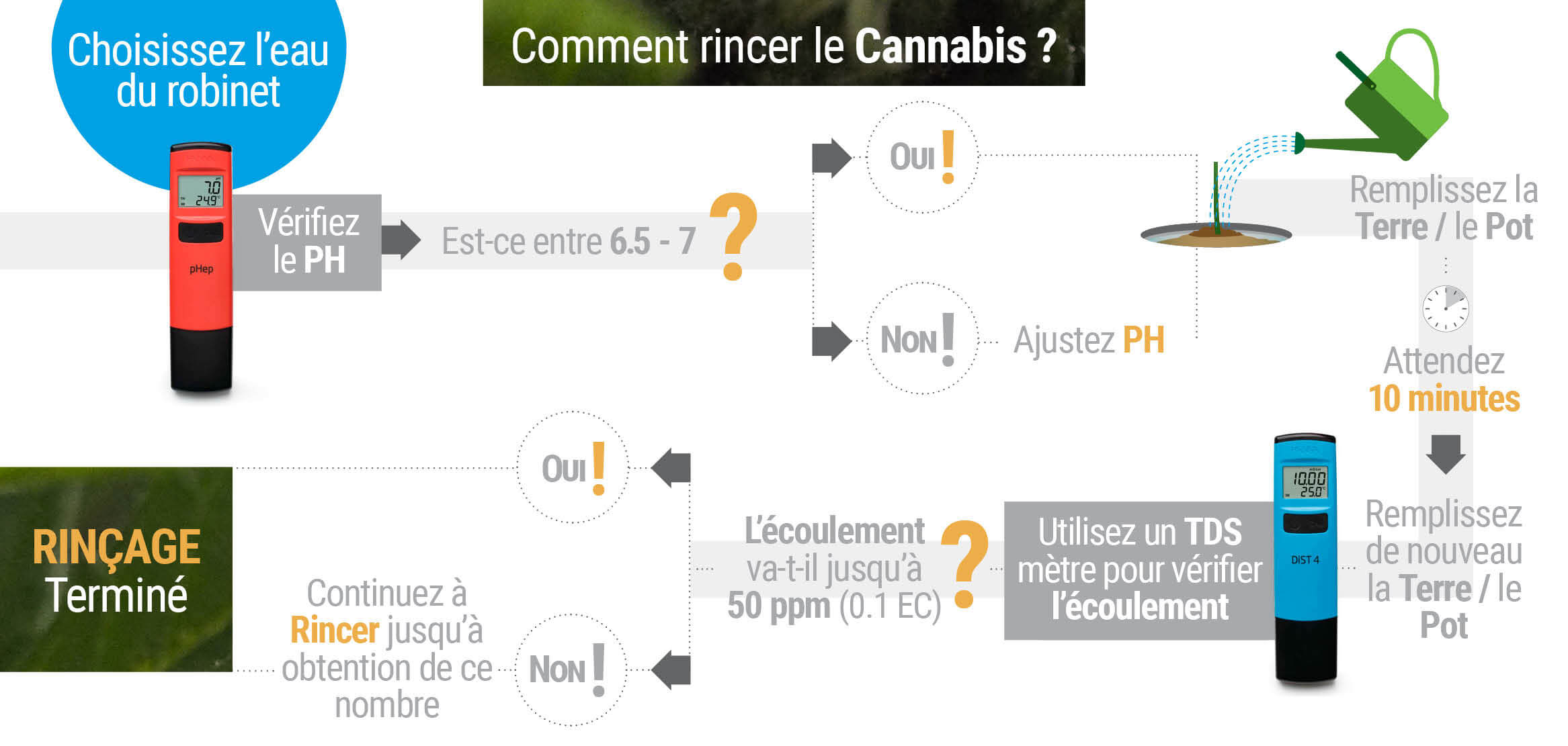 Comment et Quand Rincer les Plants de Cannabis Comment et Quand Rincer les Plants de Cannabis