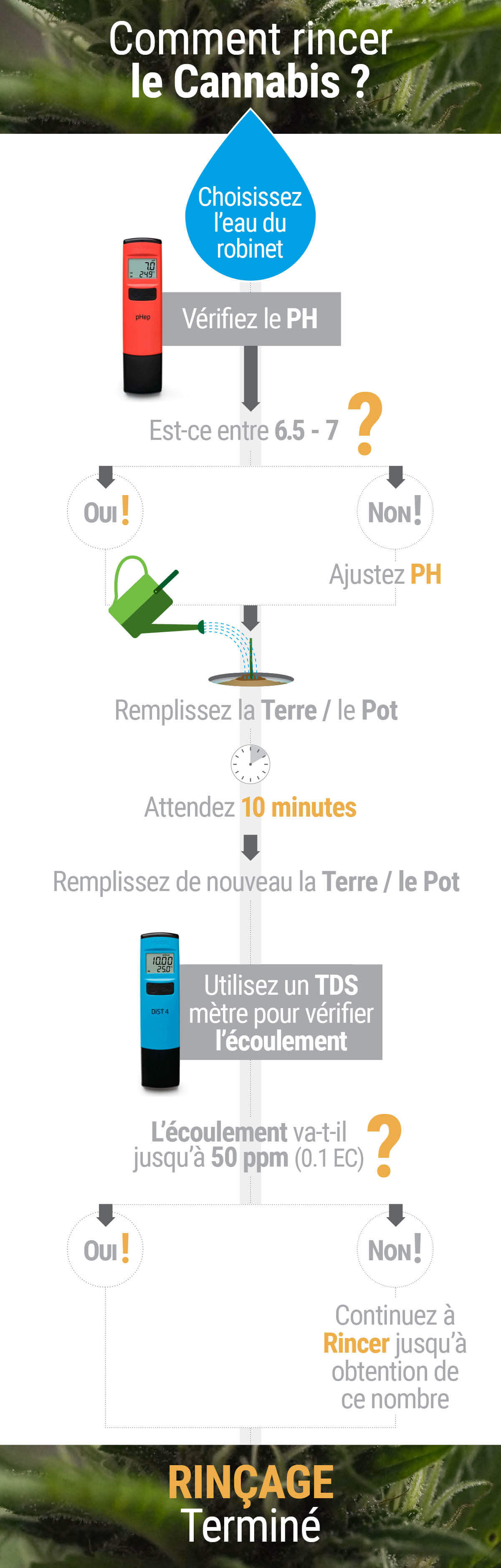 Comment et Quand Rincer les Plants de Cannabis Comment et Quand Rincer les Plants de Cannabis