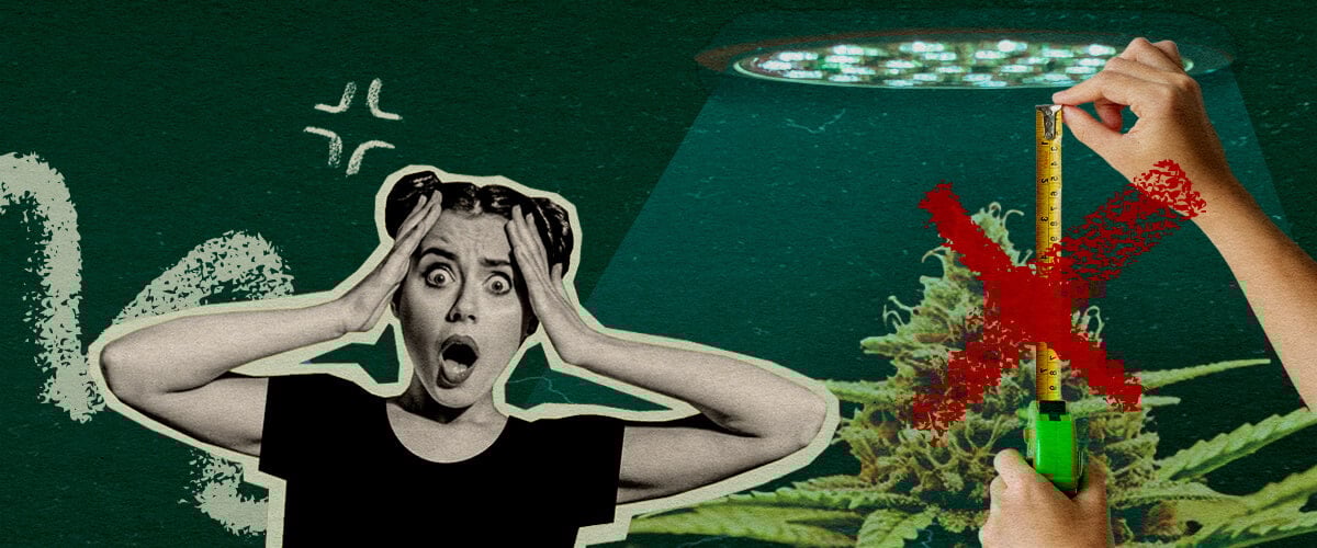 Erreurs Courantes de Distance de Lampe : Image Configuration Lumière Plante de cannabis avec lampe de culture et mètre, illustrant les erreurs courantes dans la configuration de la distance de la lumière sur un fond vert foncé, idéal pour les conseils de culture de cannabis.