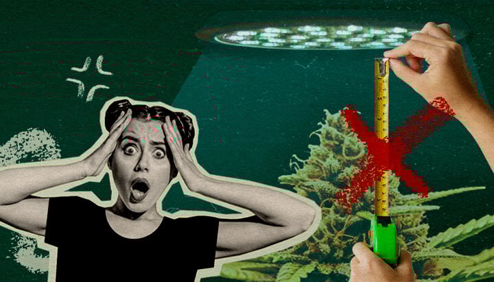 Erreurs Courantes de Distance de Lampe : Image Configuration Lumière Plante de cannabis avec lampe de culture et mètre, illustrant les erreurs courantes dans la configuration de la distance de la lumière sur un fond vert foncé, idéal pour les conseils de culture de cannabis.