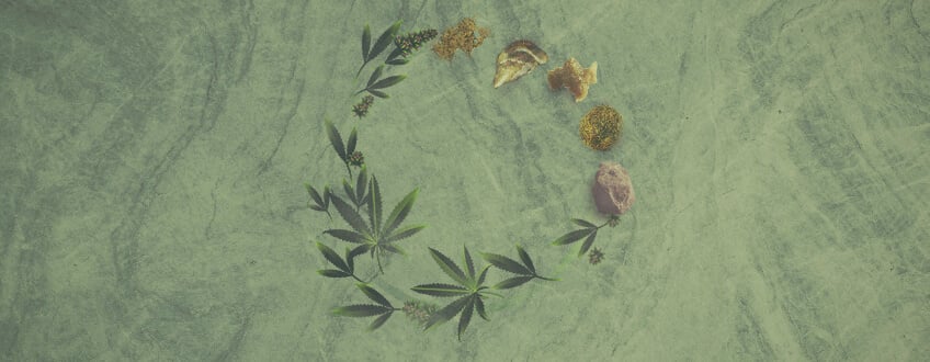 Le guide ultime sur les concentrés de cannabis