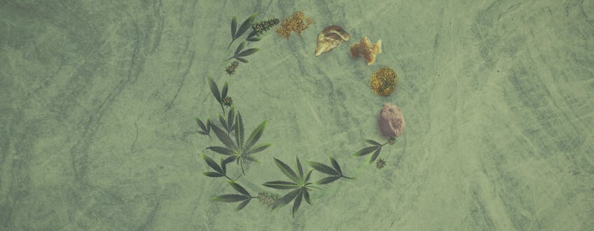 Le guide ultime sur les concentrés de cannabis
