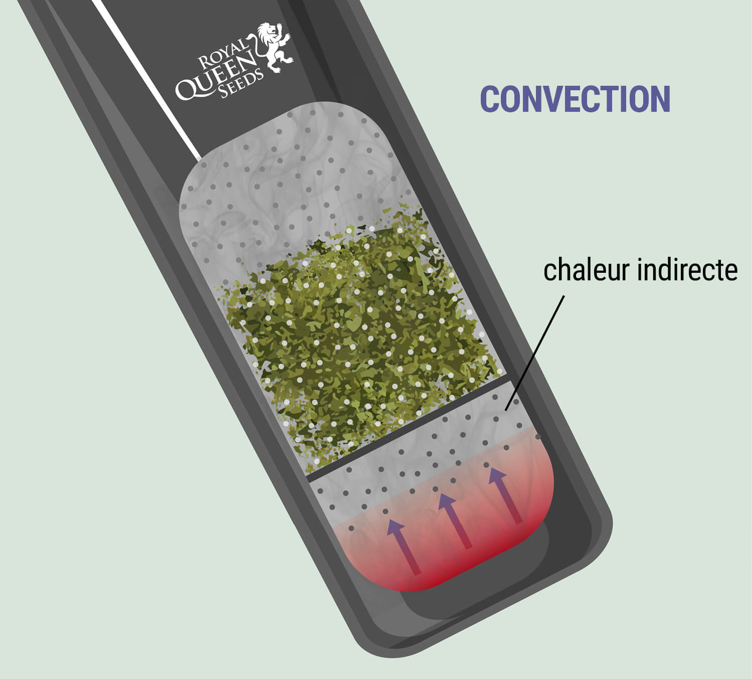 Convection Convection