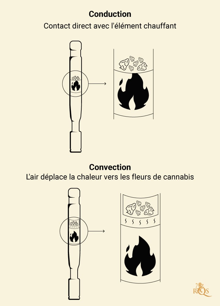 Trichomes