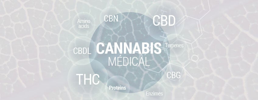ABC du cannabis médical : le guide complet de l'herbe médicale