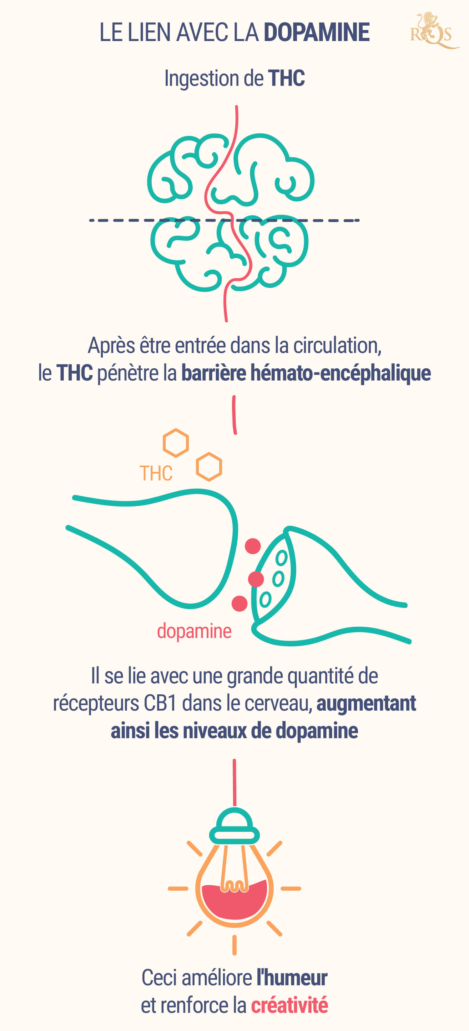 Le Lien Avec La Dopamine