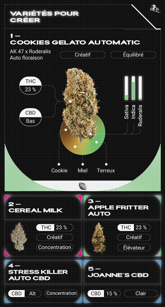 Top RQS Creative Strains