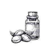 L’HUILE DE NEEM L’HUILE DE NEEM