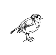 ACHETEZ DES PERCHOIRS À OISEAUX ACHETEZ DES PERCHOIRS À OISEAUX