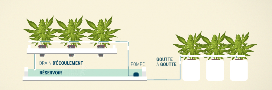 Le Système Goutte À Goutte Le Système Goutte À Goutte