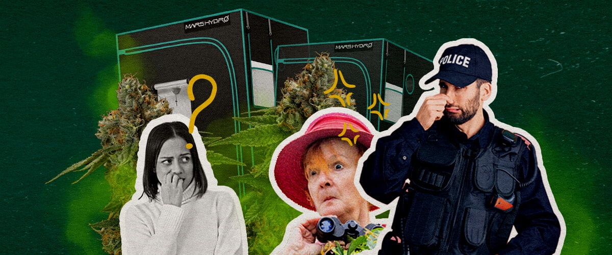 Les Tentes de Culture Retiennent-elles l'Odeur Cannabis Une illustration de bourgeons de cannabis avec des tentes de culture, une femme confuse, une femme surprise avec des jumelles et un policier, sur un fond vert, explorant si les tentes de culture contiennent l'odeur du cannabis.