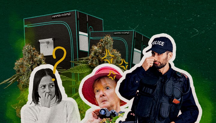 Les Tentes de Culture Retiennent-elles l'Odeur Cannabis Une illustration de bourgeons de cannabis avec des tentes de culture, une femme confuse, une femme surprise avec des jumelles et un policier, sur un fond vert, explorant si les tentes de culture contiennent l'odeur du cannabis.