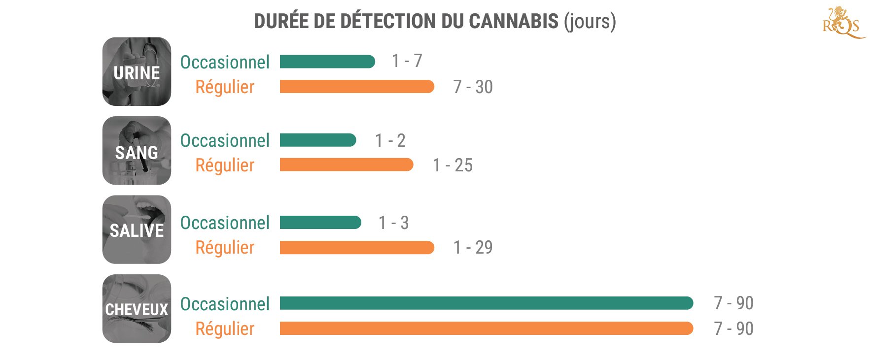 Combien De Temps Le THC Reste-T-Il Dans Le Système ?