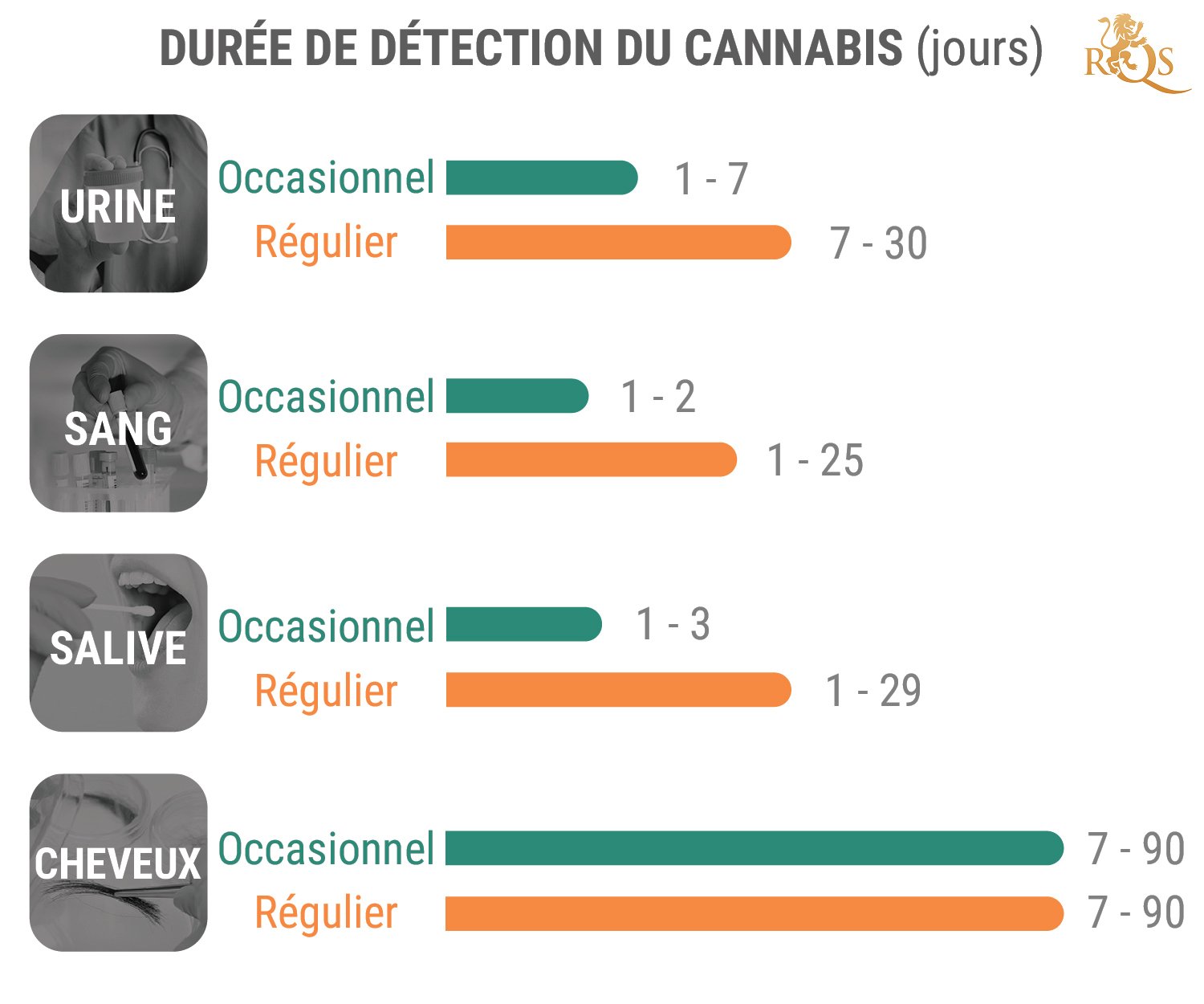 Combien De Temps Le THC Reste-T-Il Dans Le Système ? Combien De Temps Le THC Reste-T-Il Dans Le Système ?