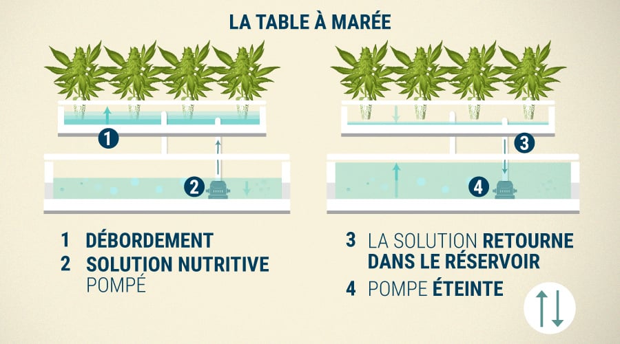 La Table À Marée (Ebb & Flow) La Table À Marée (Ebb & Flow)