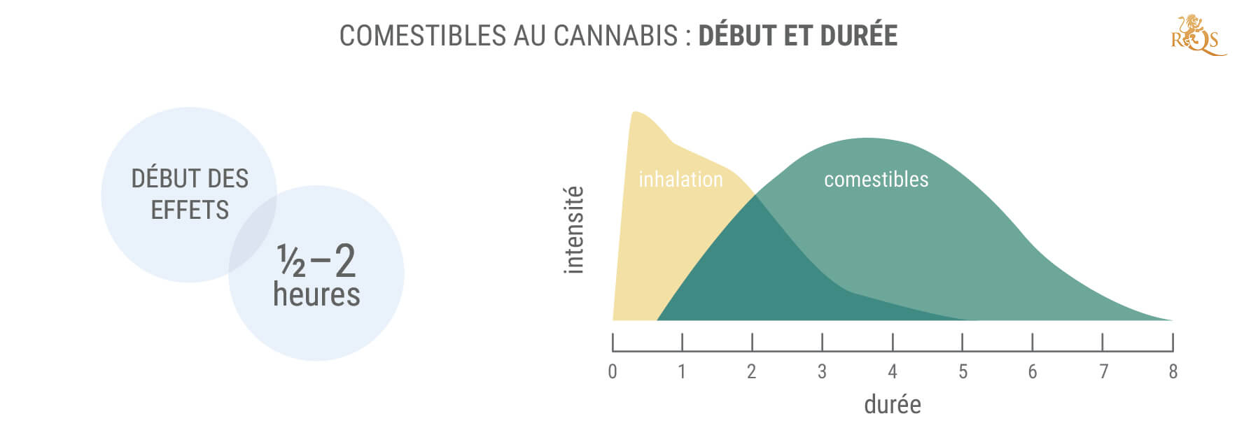 Combien De Temps Durent Les Effets Des Produits Comestibles ?