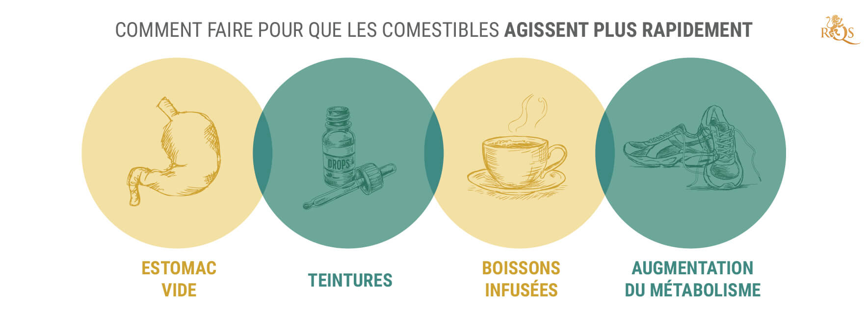 Comment Faire en Sorte Que Les Effets Des Produits Comestibles Frappent Plus Rapidement ?