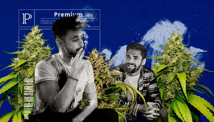Une illustration d'un bourgeon de cannabis Blue Gelato avec des teintes violettes, entouré d'une aura relaxante et stimulante, sur un fond vert, mettant en valeur les effets et l'expérience utilisateur de la souche.