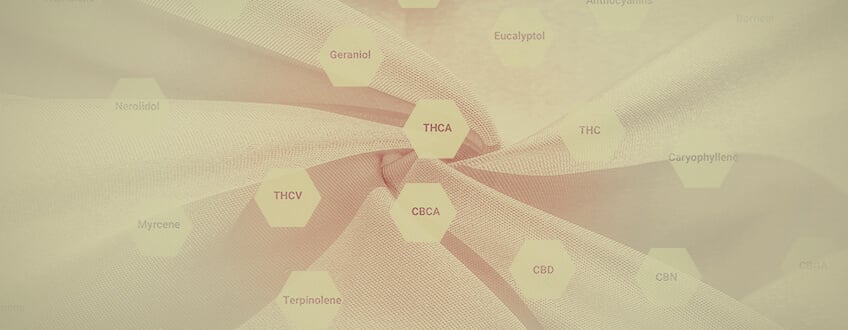 Cannabinoid, opioid, serotonin and dopamine receptors