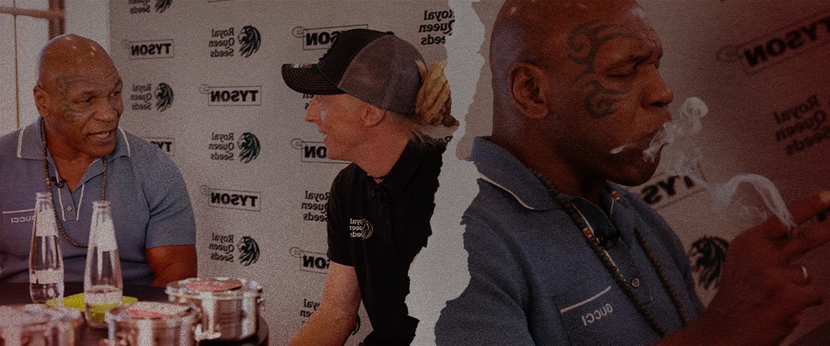 Mike Tyson discute et fume avec un représentant de Royal Queen Seeds, mettant en avant leur collaboration dans le monde du cannabis et un style de vie euphorique.