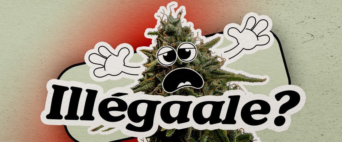 Pays européens où le cannabis reste illégal Une plante de cannabis cartoon inquiète avec un visage soucieux et les mains levées se tient sur un fond dégradé. Le texte