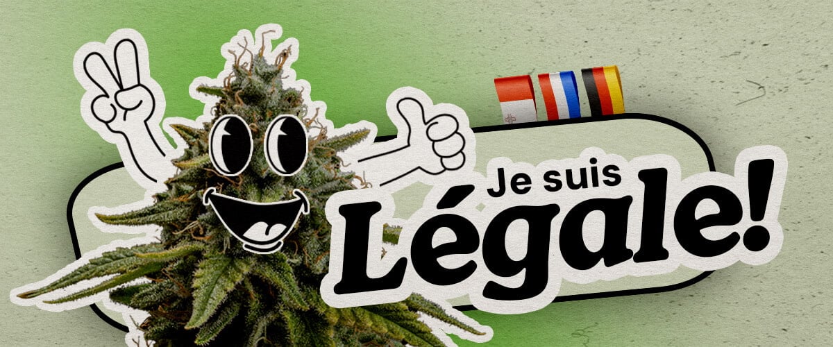 Pays européens où le cannabis est entièrement légal Une plante de cannabis cartoon joyeuse avec un signe de paix et un pouce levé se tient sur un fond vert. Le texte