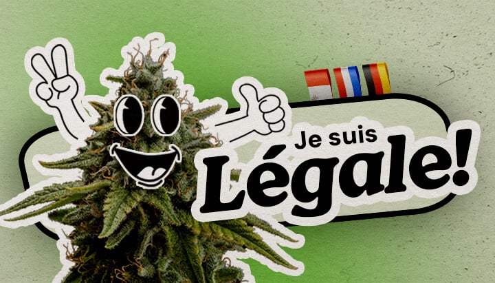 Pays européens où le cannabis est entièrement légal Une plante de cannabis cartoon joyeuse avec un signe de paix et un pouce levé se tient sur un fond vert. Le texte