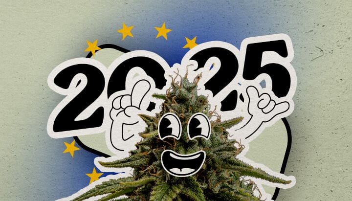 Découvrez le paysage européen du cannabis en 2025 Une plante de cannabis cartoon joyeuse avec un grand sourire et des mains levées se tient sur un fond dégradé avec 2025 et des étoiles européennes. L'image célèbre le paysage du cannabis en Europe pour l'année.