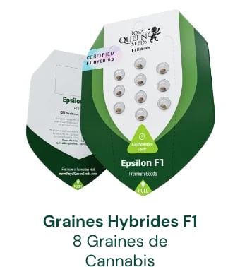 Graines de cannabis hybrides F1