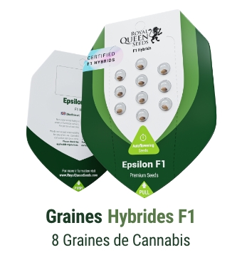 Graines de cannabis hybrides F1